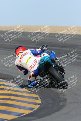 media/Feb-04-2023-SoCal Trackdays (Sat) [[8a776bf2c3]]/Turn 10 Backside (1010am)/